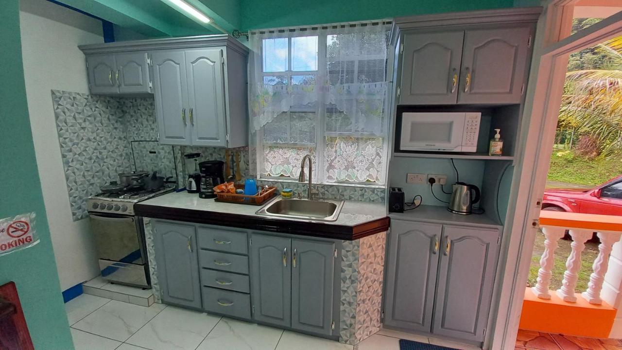 Cozy Vacation Retreat With Free Parking Apartment Roseau Exterior foto
